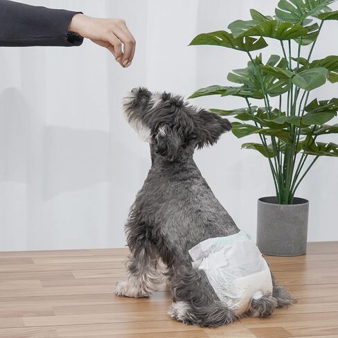 Dog Diapers Female, 30 PCS Disposable Dog Diapers for Different Sized Dogs, Absorbent with Wetness Indicator (M) in Kuwait