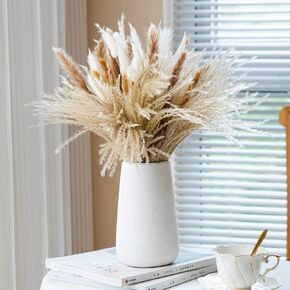 Hananona 120 قطعة من الزهور المجففة بامباس ديكور عشبي للمزهرية، تحتوي على ذيول أرنب زهور مجففة، باقة عشب القصب لديكور طاولة بوهو لحفلات الزفاف، ديكور منزل مزرعة ريفي (120) in Kuwait