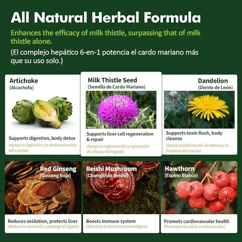 قطرات التخلص من سموم الكبد من عشبة الحليب والشوك، وكاردو ماريانو للبنجر غراسو، ودينتي دي ليون، والكاتشوفا لبخار البيزو. سائل مستخلص عشبي طبيعي لتنظيف الكبد من السموم وإصلاحه.4 أونصة in Kuwait