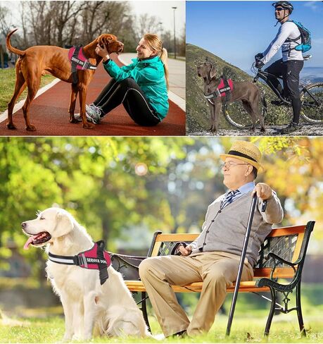 BTromeshy Service Dog Vest Harness، عدم سحب الكلب تسخير مع مقبض، قابل للتعديل 3M عاكس مادة أكسفورد سترة كلب للحيوانات الأليفة للمشي في الهواء الطلق، وسهولة التحكم لسلالة صغيرة متوسطة وكبيرة in Kuwait
