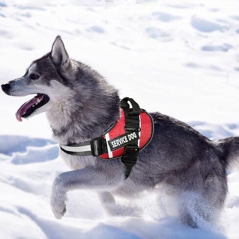 BTromeshy Service Dog Vest Harness، عدم سحب الكلب تسخير مع مقبض، قابل للتعديل 3M عاكس مادة أكسفورد سترة كلب للحيوانات الأليفة للمشي في الهواء الطلق، وسهولة التحكم لسلالة صغيرة متوسطة وكبيرة in Kuwait