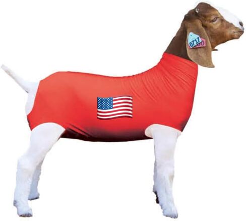 Show Pro Red Spandex Goat Tube for Show Goats - Show Livestock Supplies: Goat Covers & Blankets in Saudi Arabia