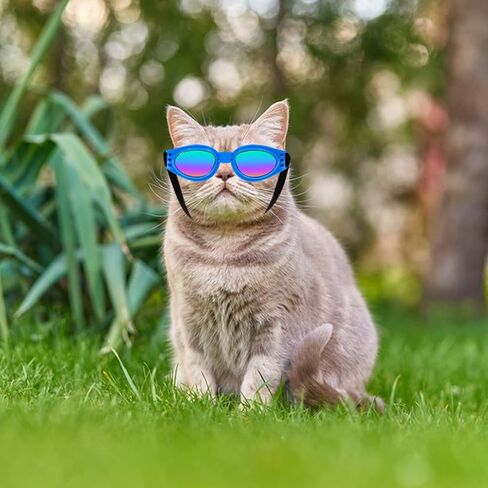 نظارات شمسية للكلاب، نظارات شمسية قابلة للتعديل للحماية من الاشعة فوق البنفسجية، حماية عين الكلب للخروج والسفر والتزلج والسباحة in Kuwait