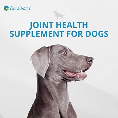 PRN Pharmacal Duralactin Canine Chewable Tablets - Joint Health Supplement for Dogs & Puppies Supports Mobility & Wellness - Tablets Containing Dried Milk Protein - Vanilla Flavor - 60 Canine Chews in Kuwait