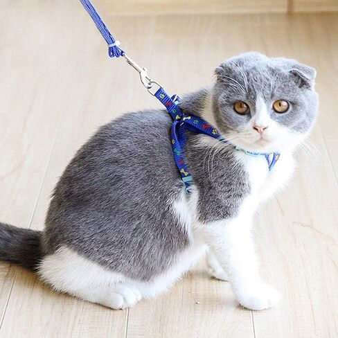 10/20Pcs Snap Hooks Heavy Duty 2.75"x0.83" Swivel Snap Hooks with Spring Pet Buckle Multipurpose Dog Leashes Key Chain for Linking Pet Leash & Collar (10PCS) in Kuwait