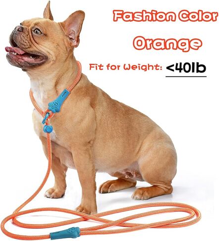 Slip Lead Dog Leash Dog Leash for Small Medium Large Dogs 6Ft No Pull Dog Leash 8 Colors Classic Dog Leash Dog Rope (deep Green) in Saudi Arabia
