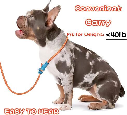 Slip Lead Dog Leash Dog Leash for Small Medium Large Dogs 6Ft No Pull Dog Leash 8 Colors Classic Dog Leash Dog Rope (deep Green) in Saudi Arabia
