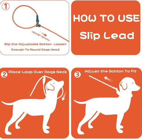 Slip Lead Dog Leash Dog Leash for Small Medium Large Dogs 6Ft No Pull Dog Leash 8 Colors Classic Dog Leash Dog Rope (deep Green) in Saudi Arabia