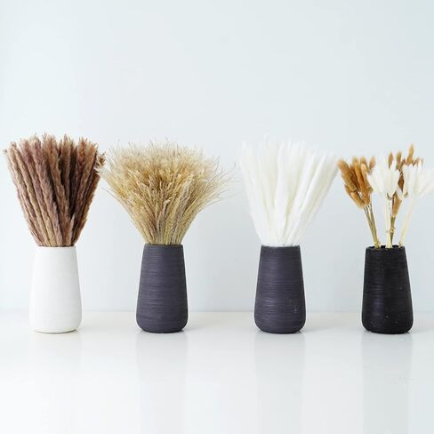 Hananona 120 قطعة من الزهور المجففة بامباس ديكور عشبي للمزهرية، تحتوي على ذيول أرنب زهور مجففة، باقة عشب القصب لديكور طاولة بوهو لحفلات الزفاف، ديكور منزل مزرعة ريفي (120) in Kuwait