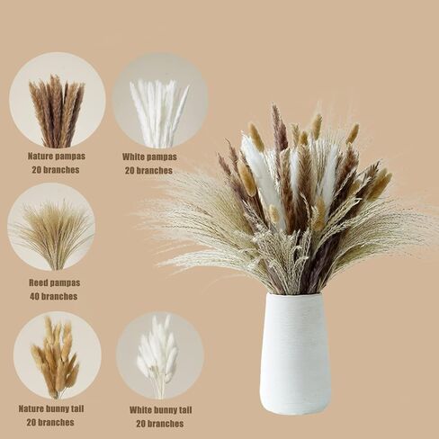 Hananona 120 قطعة من الزهور المجففة بامباس ديكور عشبي للمزهرية، تحتوي على ذيول أرنب زهور مجففة، باقة عشب القصب لديكور طاولة بوهو لحفلات الزفاف، ديكور منزل مزرعة ريفي (120) in Kuwait