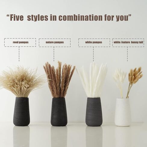 Hananona 120 قطعة من الزهور المجففة بامباس ديكور عشبي للمزهرية، تحتوي على ذيول أرنب زهور مجففة، باقة عشب القصب لديكور طاولة بوهو لحفلات الزفاف، ديكور منزل مزرعة ريفي (120) in Kuwait