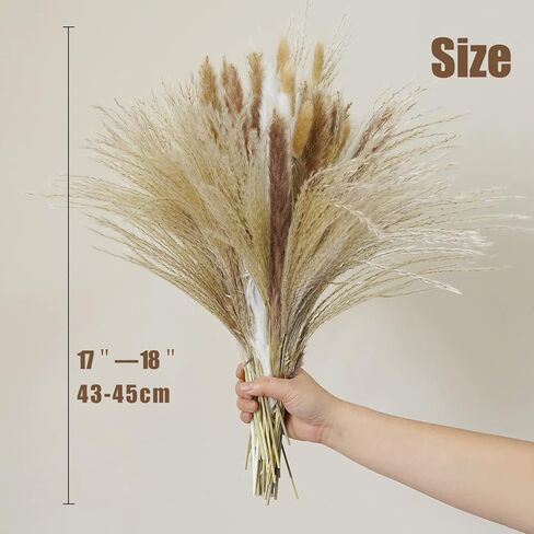 Hananona 120 قطعة من الزهور المجففة بامباس ديكور عشبي للمزهرية، تحتوي على ذيول أرنب زهور مجففة، باقة عشب القصب لديكور طاولة بوهو لحفلات الزفاف، ديكور منزل مزرعة ريفي (120) in Kuwait
