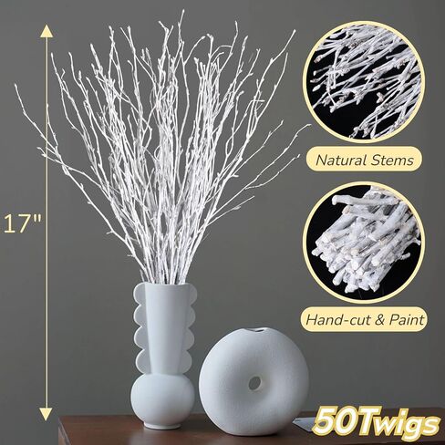 50 قطعة من اغصان البتولا البيضاء المجففة الحقيقية - فروع البتولا الطبيعية 17 انش لملء مزهريات الكريسماس، عصي البتولا للحرف اليدوية، قطعة مركزية، ترتيب الزهور، اكليل غصين، ديكور منزلي ريفي in Kuwait