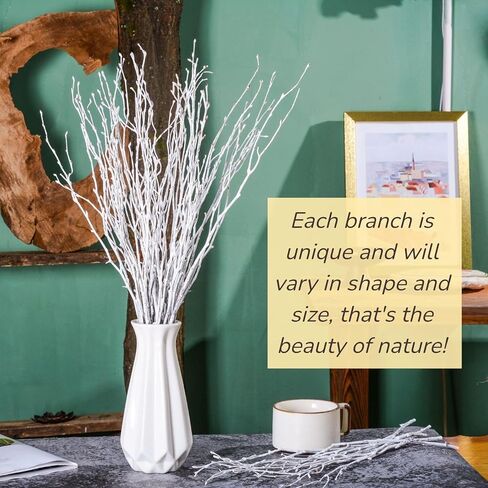 50 قطعة من اغصان البتولا البيضاء المجففة الحقيقية - فروع البتولا الطبيعية 17 انش لملء مزهريات الكريسماس، عصي البتولا للحرف اليدوية، قطعة مركزية، ترتيب الزهور، اكليل غصين، ديكور منزلي ريفي in Kuwait