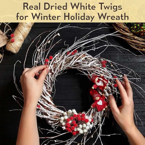 50 قطعة من اغصان البتولا البيضاء المجففة الحقيقية - فروع البتولا الطبيعية 17 انش لملء مزهريات الكريسماس، عصي البتولا للحرف اليدوية، قطعة مركزية، ترتيب الزهور، اكليل غصين، ديكور منزلي ريفي in Kuwait