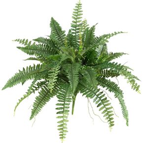 Nearly Natural 40in. Boston Fern (Set of 2) and 4ft. Golden Cane Palm Tree