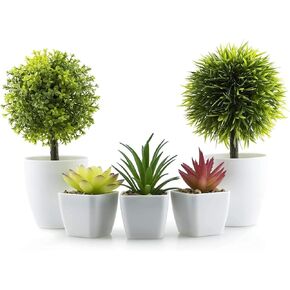 5 عبوات من النباتات الاصطناعية من شوتمي، 3 قطع من نباتات عصارية صناعية وقطعتين من النباتات الخضراء المزيفة لتزيين المنزل والمكتب والحمام في الاماكن المغلقة في الاصيص in Kuwait