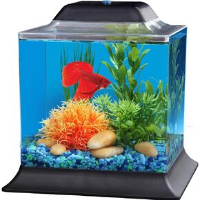 Koller Products 1.5-Gallon AquaScene Aquarium with LED Lighting in Kuwait