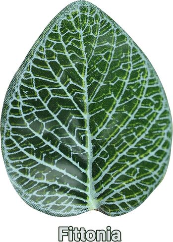 Pangea Leafy Vine for Reptile Terrarium Habitat (Japanese Laurel) in Kuwait