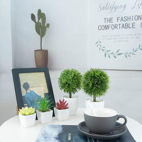 5 عبوات من النباتات الاصطناعية من شوتمي، 3 قطع من نباتات عصارية صناعية وقطعتين من النباتات الخضراء المزيفة لتزيين المنزل والمكتب والحمام في الاماكن المغلقة في الاصيص in Kuwait