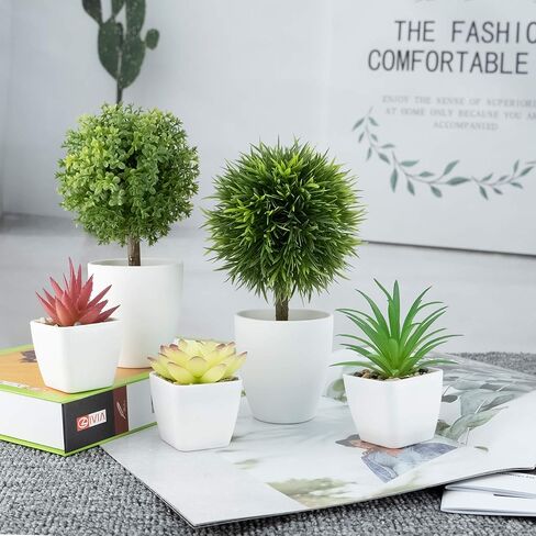 5 عبوات من النباتات الاصطناعية من شوتمي، 3 قطع من نباتات عصارية صناعية وقطعتين من النباتات الخضراء المزيفة لتزيين المنزل والمكتب والحمام في الاماكن المغلقة في الاصيص in Kuwait