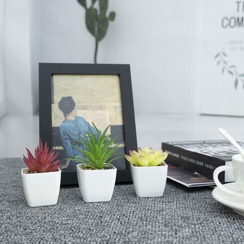 5 عبوات من النباتات الاصطناعية من شوتمي، 3 قطع من نباتات عصارية صناعية وقطعتين من النباتات الخضراء المزيفة لتزيين المنزل والمكتب والحمام في الاماكن المغلقة في الاصيص in Kuwait