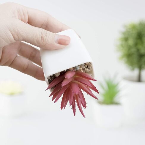 5 عبوات من النباتات الاصطناعية من شوتمي، 3 قطع من نباتات عصارية صناعية وقطعتين من النباتات الخضراء المزيفة لتزيين المنزل والمكتب والحمام في الاماكن المغلقة في الاصيص in Kuwait