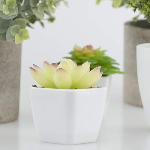 5 عبوات من النباتات الاصطناعية من شوتمي، 3 قطع من نباتات عصارية صناعية وقطعتين من النباتات الخضراء المزيفة لتزيين المنزل والمكتب والحمام في الاماكن المغلقة في الاصيص in Kuwait