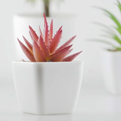 5 عبوات من النباتات الاصطناعية من شوتمي، 3 قطع من نباتات عصارية صناعية وقطعتين من النباتات الخضراء المزيفة لتزيين المنزل والمكتب والحمام في الاماكن المغلقة في الاصيص in Kuwait