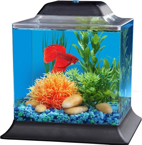 Koller Products 1.5-Gallon AquaScene Aquarium with LED Lighting in Kuwait