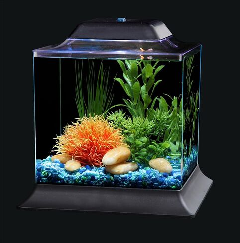 Koller Products 1.5-Gallon AquaScene Aquarium with LED Lighting in Kuwait