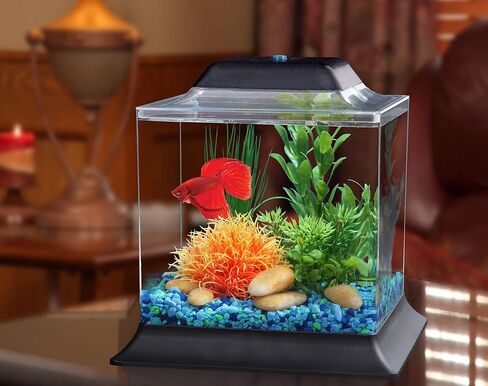 Koller Products 1.5-Gallon AquaScene Aquarium with LED Lighting in Kuwait