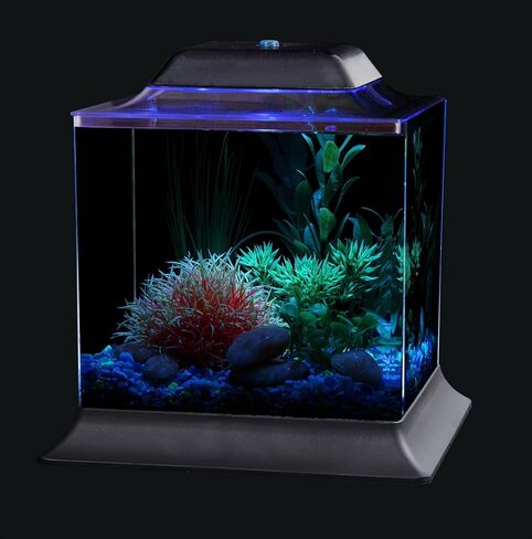 Koller Products 1.5-Gallon AquaScene Aquarium with LED Lighting in Kuwait