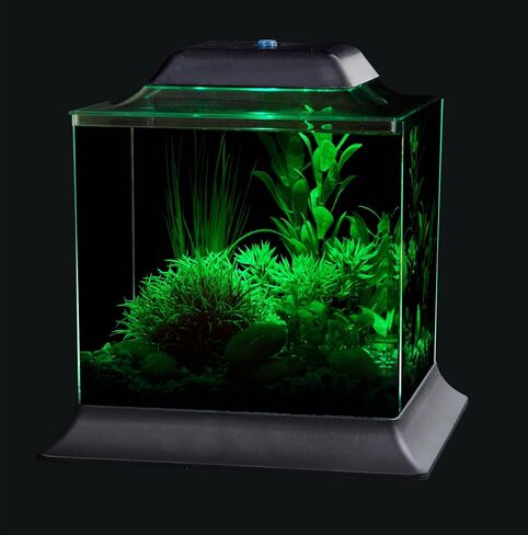 Koller Products 1.5-Gallon AquaScene Aquarium with LED Lighting in Kuwait