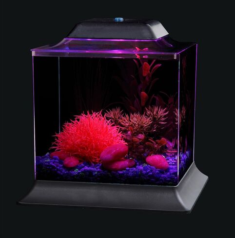 Koller Products 1.5-Gallon AquaScene Aquarium with LED Lighting in Kuwait