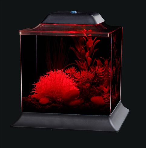 Koller Products 1.5-Gallon AquaScene Aquarium with LED Lighting in Kuwait
