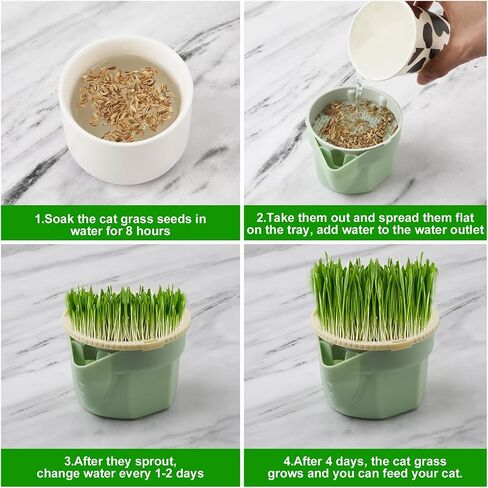 NQEUEPN Cat Grass Planter Box (No Seeds Included), Soil-Free Cat Grass Cup Cat Grass Planter Anti-Digging Design Cat Grass Growing Pot Easy to Plant Cat Grass in Saudi Arabia