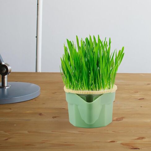 NQEUEPN Cat Grass Planter Box (No Seeds Included), Soil-Free Cat Grass Cup Cat Grass Planter Anti-Digging Design Cat Grass Growing Pot Easy to Plant Cat Grass in Saudi Arabia