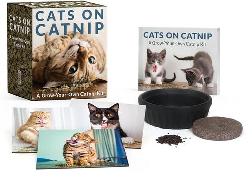 Cats on Catnip: A Grow-Your-Own Catnip Kit in Saudi Arabia