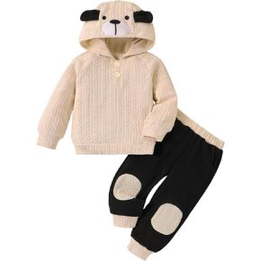Toddler Baby Boy Fall Winter Clothes Long Sleeve Hooded Cute Dog Sweatshirt Tops Pocket Sweatpants Cute Infant Outfit in Kuwait