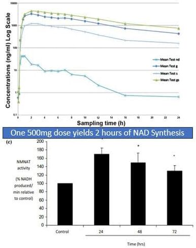 Resveratrol 1000mg Trans-Resveratrol + Quercetin Sirtuin Activator NAD+ Booster 120 Capsules 2 Month Supply in Saudi Arabia