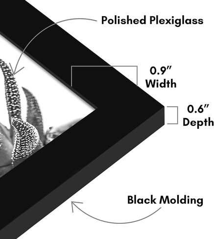Americanflat 3x5 Picture Frame with Polished Plexiglass - Set of 5 - Galleria Collection - Gallery Wall Frame Set for Tabletop and Wall Display - Black in Kuwait