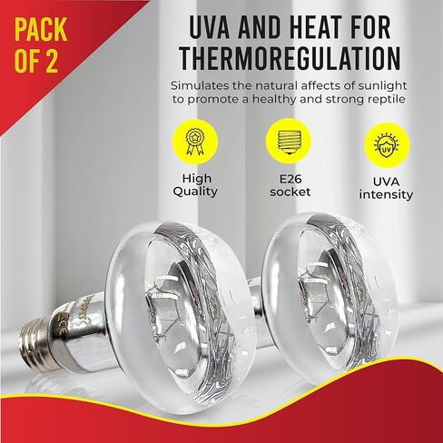 مصباح تشمس الزواحف DBDPet بقدرة 100 وات - عبوة اقتصادية مكونة من قطعتين - ضوء حراري مثالي للزواحف للتنين الملتحي والحرباء والإغوانا والأوروماستيكس والمزيد in Kuwait