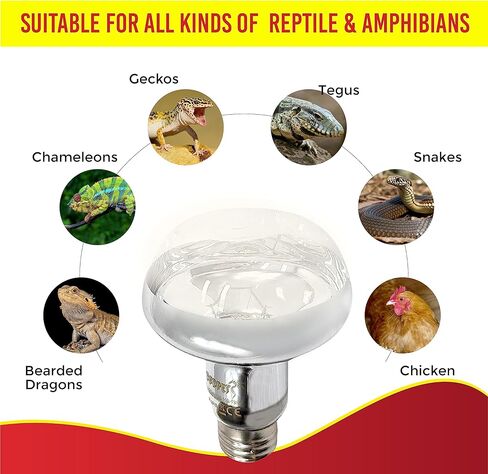 مصباح تشمس الزواحف DBDPet بقدرة 100 وات - عبوة اقتصادية مكونة من قطعتين - ضوء حراري مثالي للزواحف للتنين الملتحي والحرباء والإغوانا والأوروماستيكس والمزيد in Kuwait