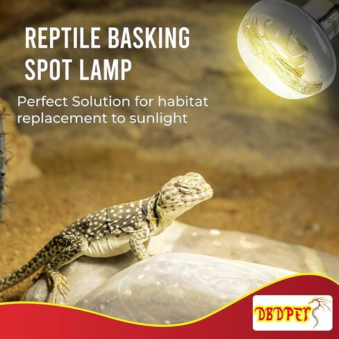 مصباح تشمس الزواحف DBDPet بقدرة 100 وات - عبوة اقتصادية مكونة من قطعتين - ضوء حراري مثالي للزواحف للتنين الملتحي والحرباء والإغوانا والأوروماستيكس والمزيد in Kuwait