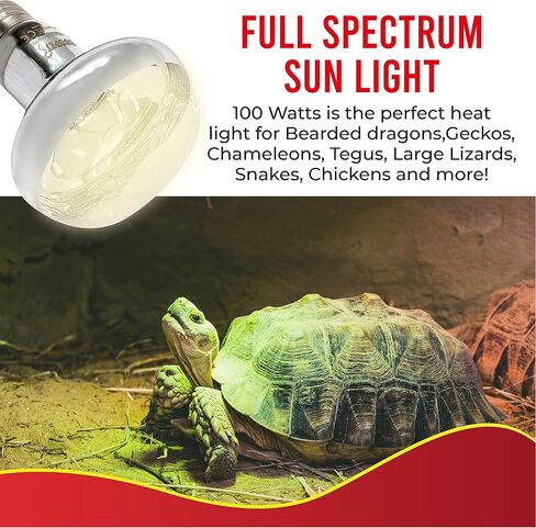 مصباح تشمس الزواحف DBDPet بقدرة 100 وات - عبوة اقتصادية مكونة من قطعتين - ضوء حراري مثالي للزواحف للتنين الملتحي والحرباء والإغوانا والأوروماستيكس والمزيد in Kuwait
