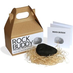 Rock Buddy with Full Training Manual and Bedding in Kuwait
