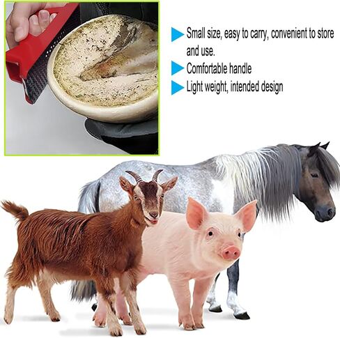 زليكز مبرد حوافر الماعز، مبرد فارير للحوافر الصغيرة والماعز والحيوانات الصغيرة in Kuwait