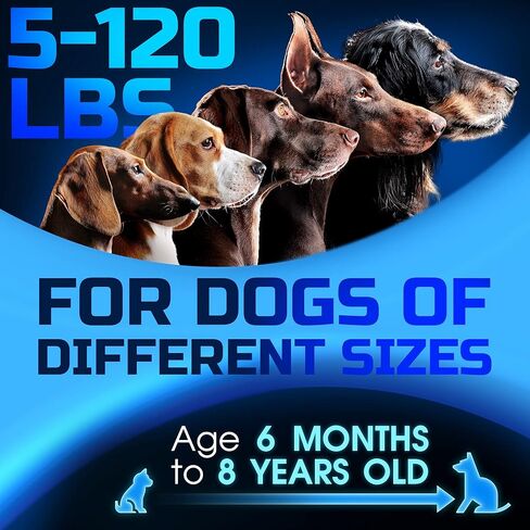 ستوب ووفر جهاز التحكم في نباح الكلاب - جهاز مضاد للنباح للكلاب S/M/L - 4 اوضاع تدريب وردع - صافرة كلب بالموجات فوق الصوتية قابلة لاعادة الشحن لوقف النباح حتى 16.4 قدم، امنة للبشر والكلاب (ازرق) in Kuwait