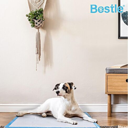 BESTLE Extra Large Pet Training and Puppy Pads Pee Pads for Dogs 30"x36" Super Absorbent & Leak-Proof, 30 Count in Kuwait